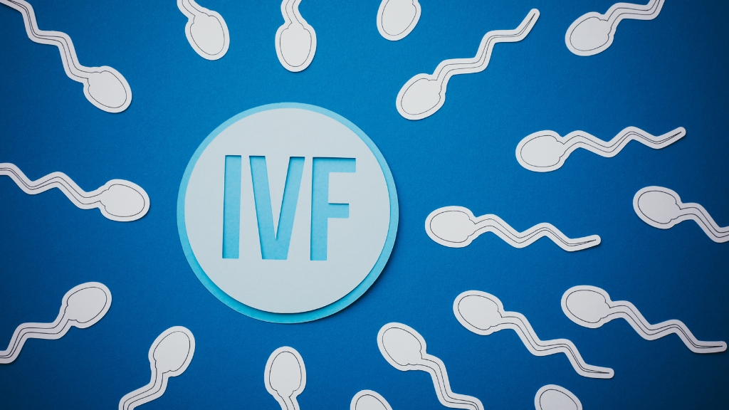 IVF là phương pháp hỗ trợ sinh sản hiệu quả cao cho các cặp vợ chồng vô sinh
