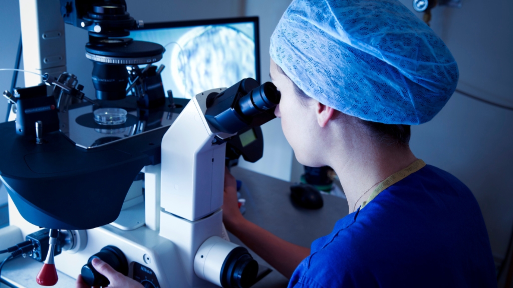 Các kỹ thuật hỗ trợ sinh sản như IUI, IVF và ICSI giúp tăng khả năng thụ thai