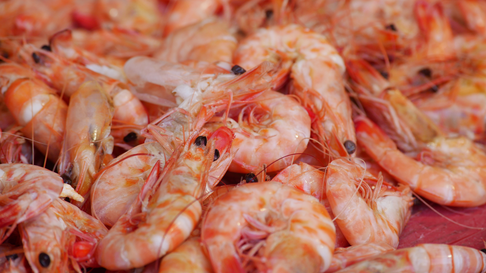 Vỏ tôm có canxi không? Vỏ tôm có chứa canxi nhưng không nhiều