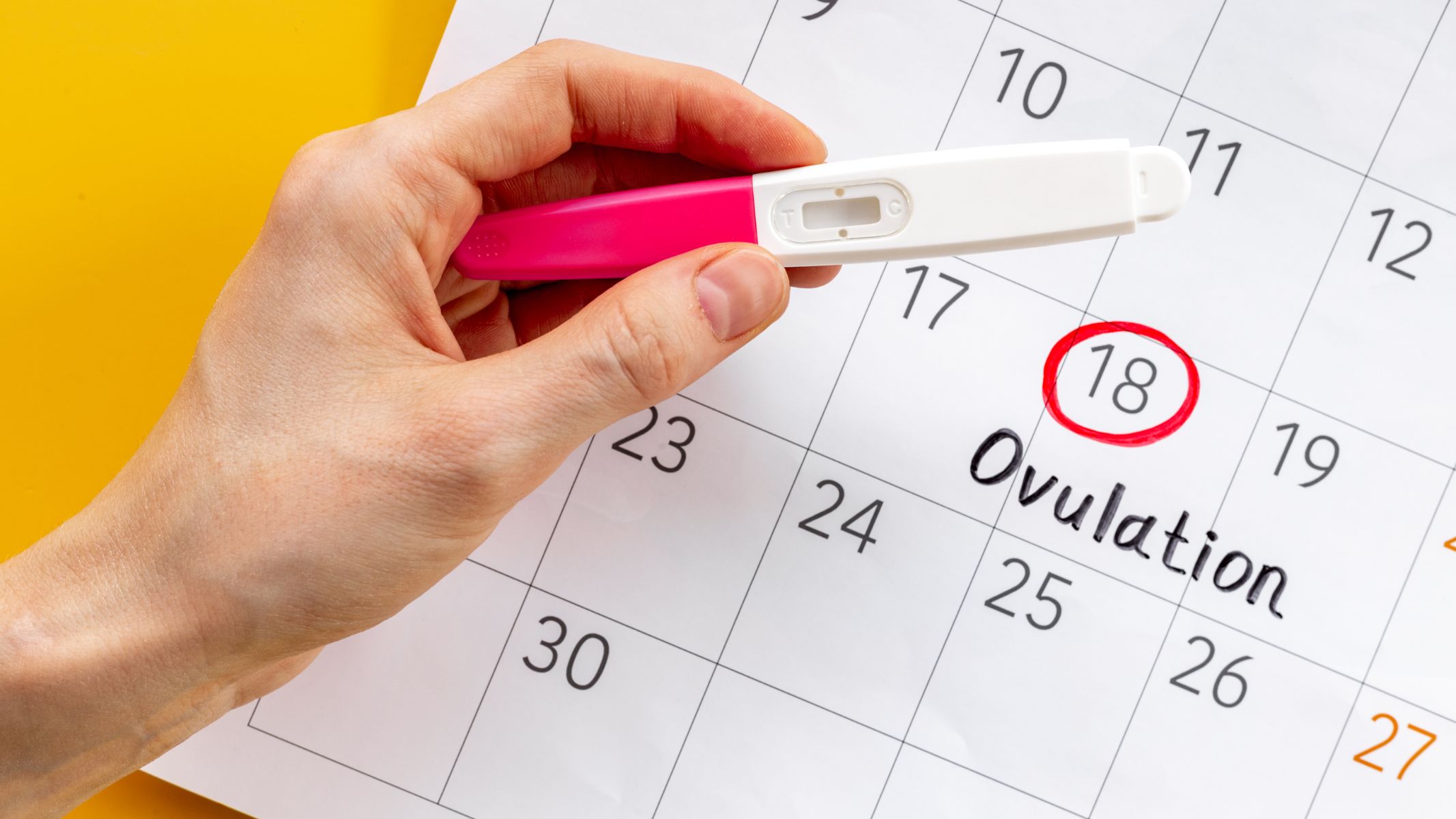 Ngày rụng trứng có mối liên hệ trực tiếp với độ dài chu kỳ kinh nguyệt, do đó bạn cần nắm rõ số ngày của chu kỳ để ước tính chính xác nhất