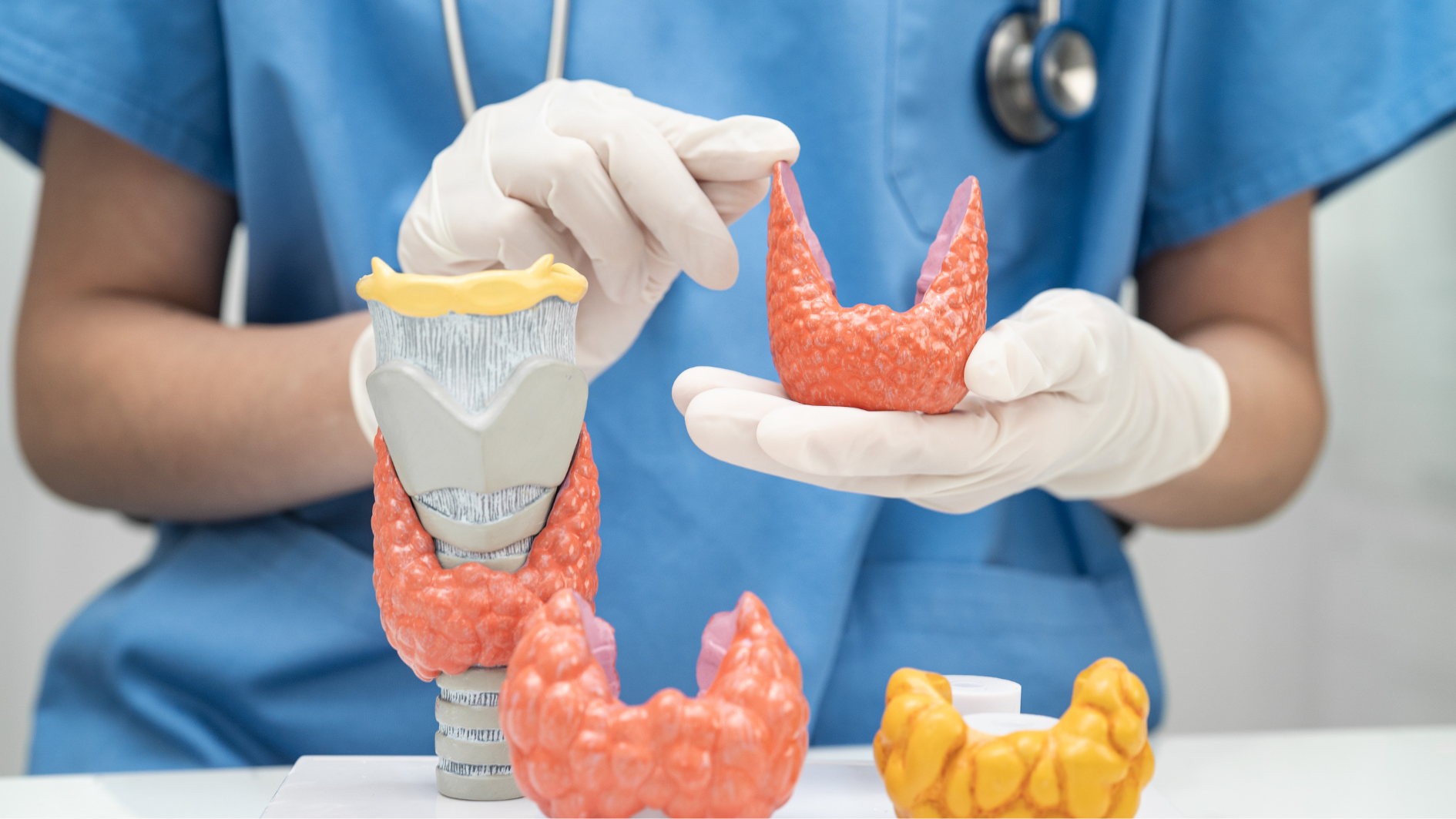 Xạ hình tuyến giáp là gì? Giúp đánh giá những vấn đề sức khỏe của tuyến giáp