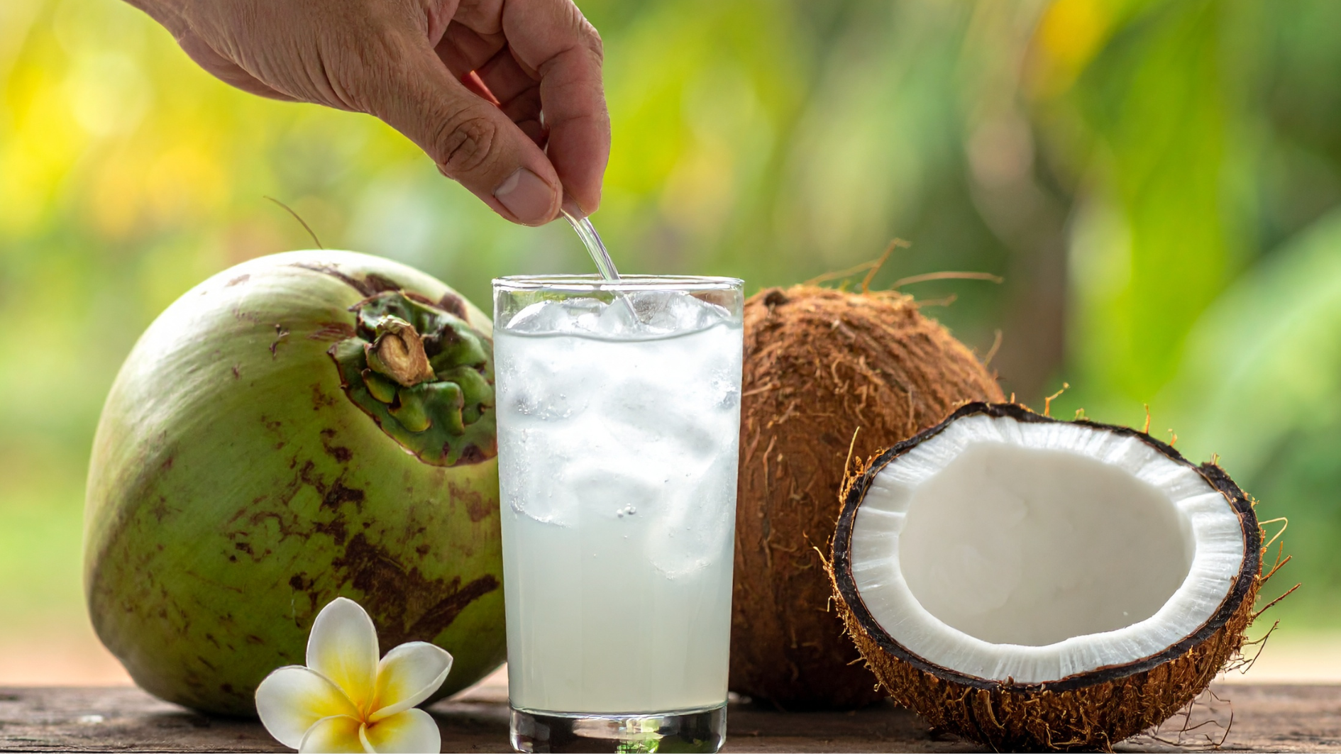 Nước dừa cung cấp chất điện giải cần thiết cho cơ thể