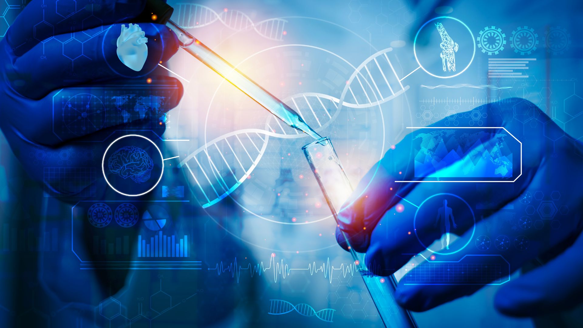 ADN là vật chất di truyền trong hầu hết tế bào, có vai trò lưu giữ và truyền thông tin di truyền