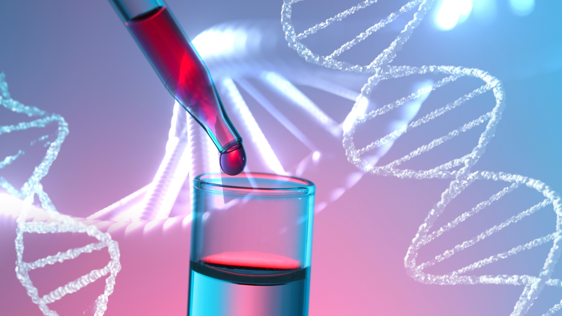 Chi phí xét nghiệm ADN có thể dao động tùy theo loại mẫu, mục đích xét nghiệm và thời gian trả kết quả