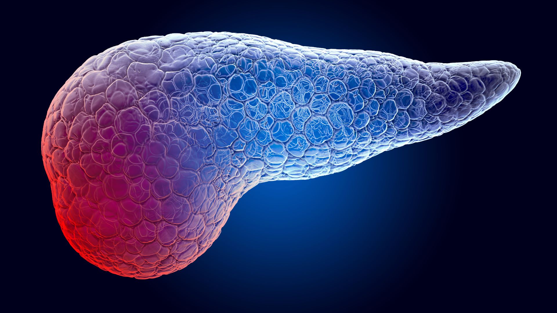 Xét nghiệm amylase hỗ trợ phát hiện bệnh viêm tụy