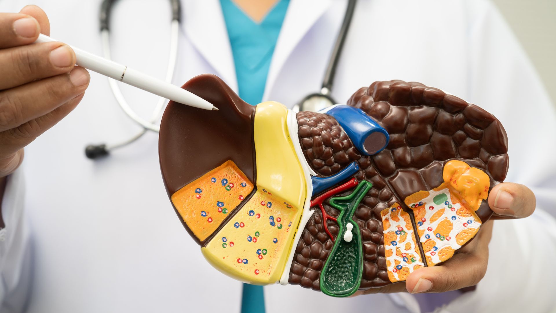 Xét nghiệm Ceruloplasmin giúp đánh giá chức năng tổng hợp của gan