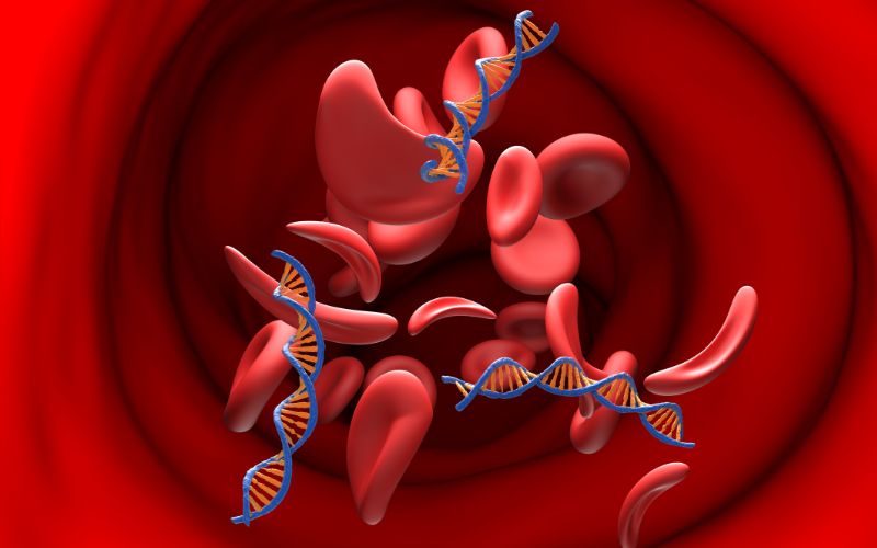 Xét nghiệm Double test giúp phát hiện các hội chứng di truyền do bất thường bộ nhiễm sắc thể