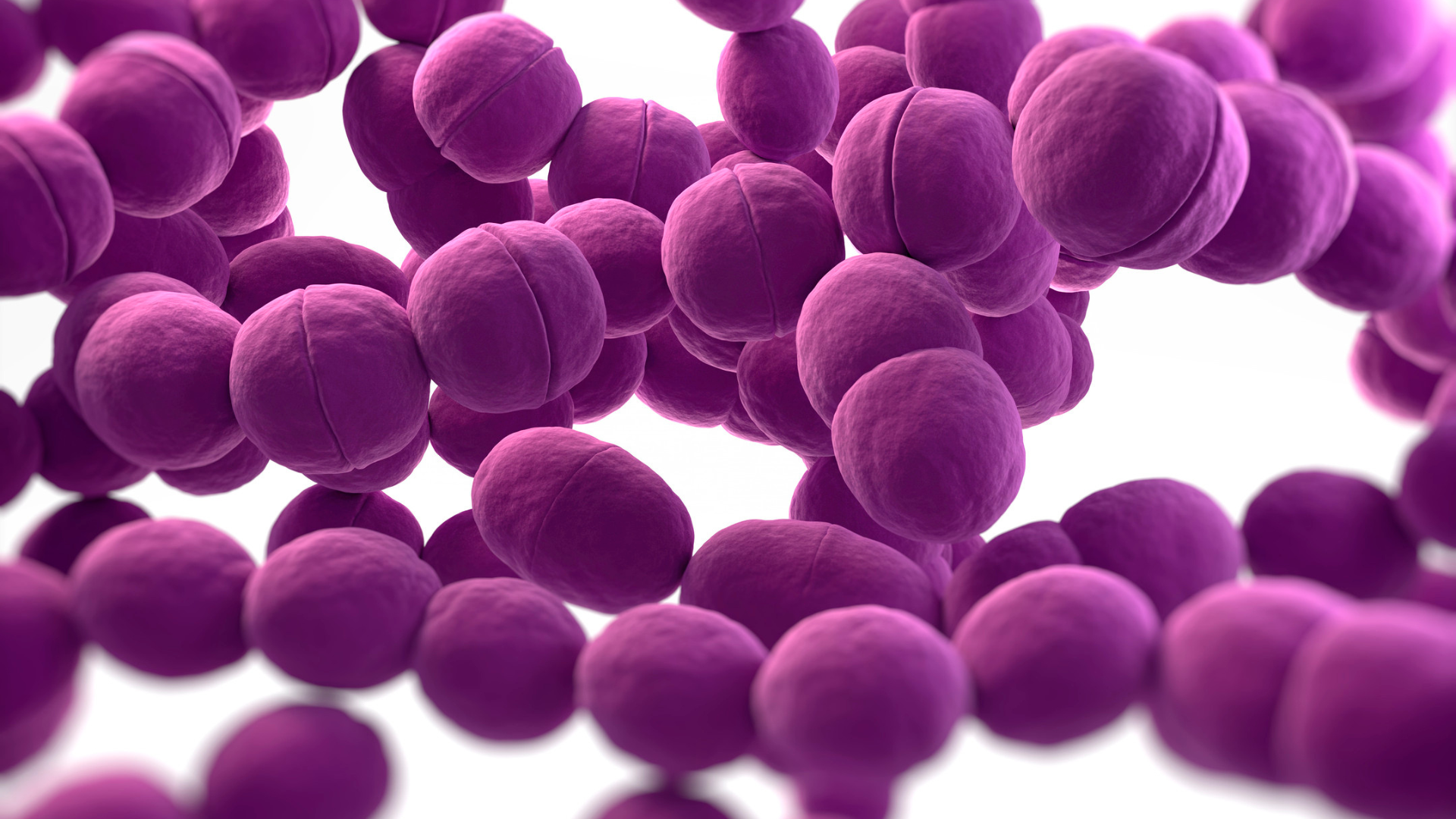 Vi khuẩn GBS có thể truyền từ mẹ sang con trong quá trình sinh nở