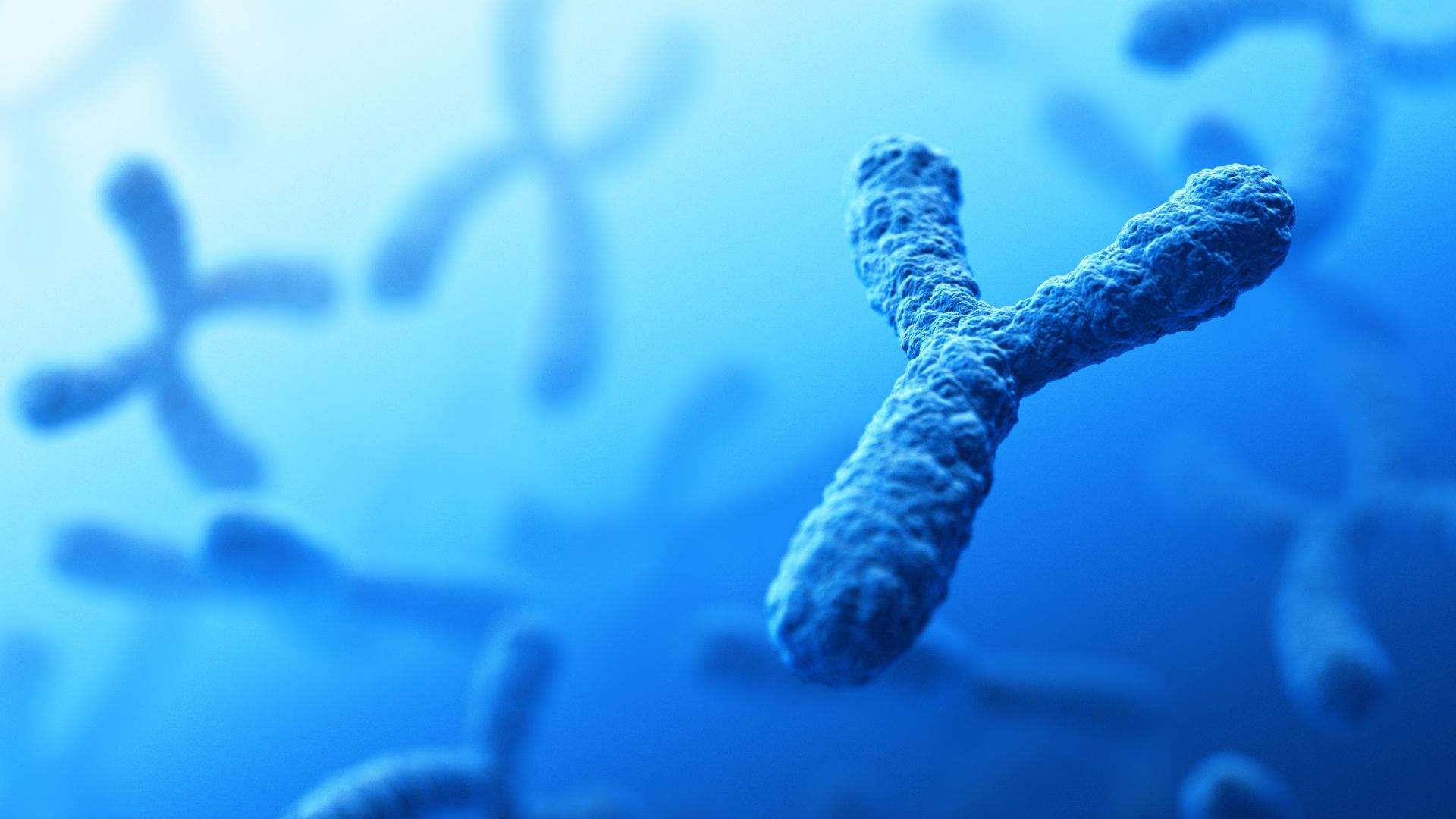 Nếu kết quả xét nghiệm cho thấy bất thường trên nhiễm sắc thể Y, bác sĩ có thể chỉ định xét nghiệm gen AZF để xác định nguyên nhân