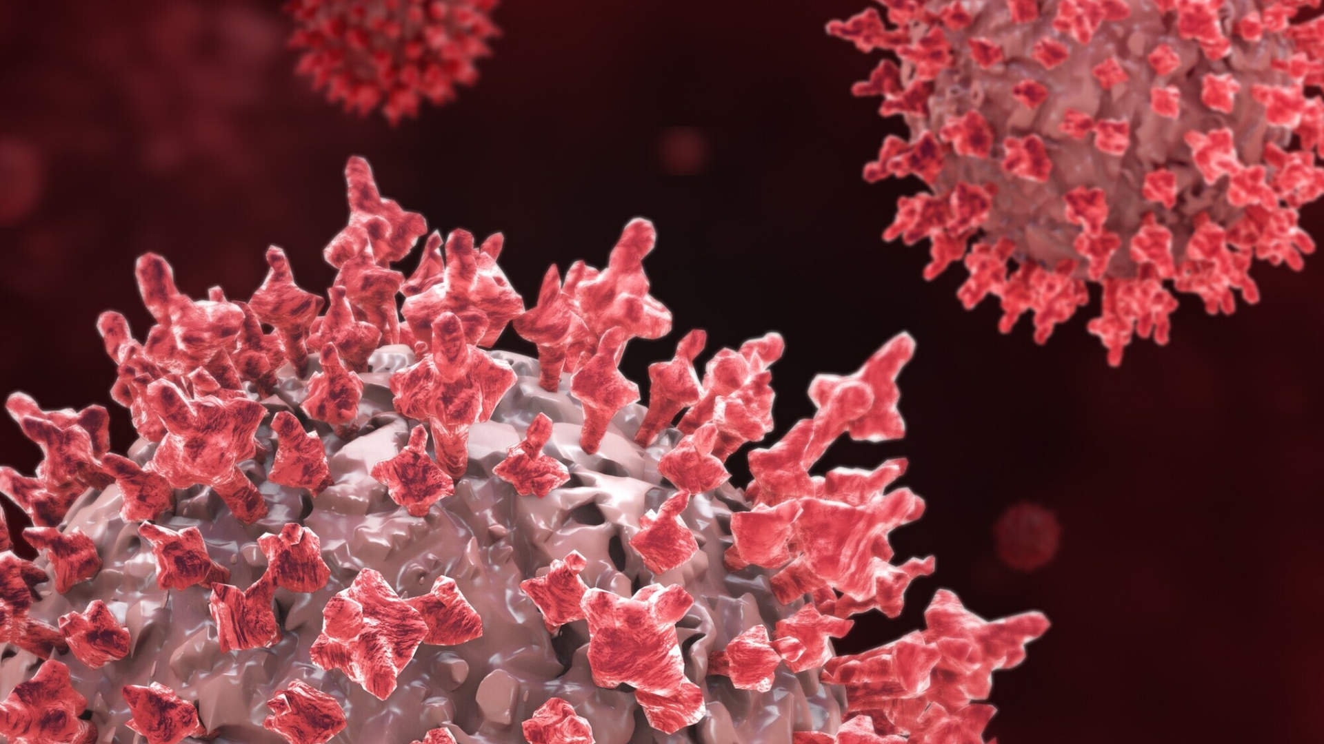 Giai đoạn cửa sổ chính là giai đoạn từ khi virus HIV xâm nhập đến khi xét nghiệm có thể phát hiện được sự hiện diện của nó