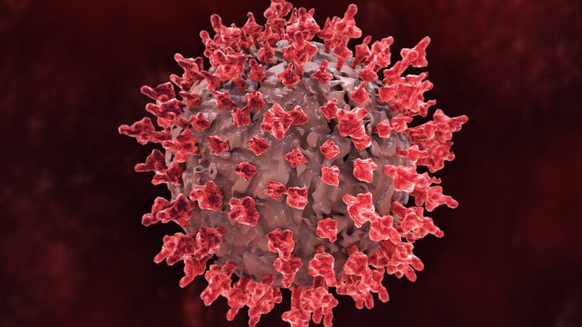 Giai đoạn cửa sổ là khoảng thời gian từ khi virus HIV xâm nhập vào cơ thể đến khi cơ thể tạo ra đủ kháng thể