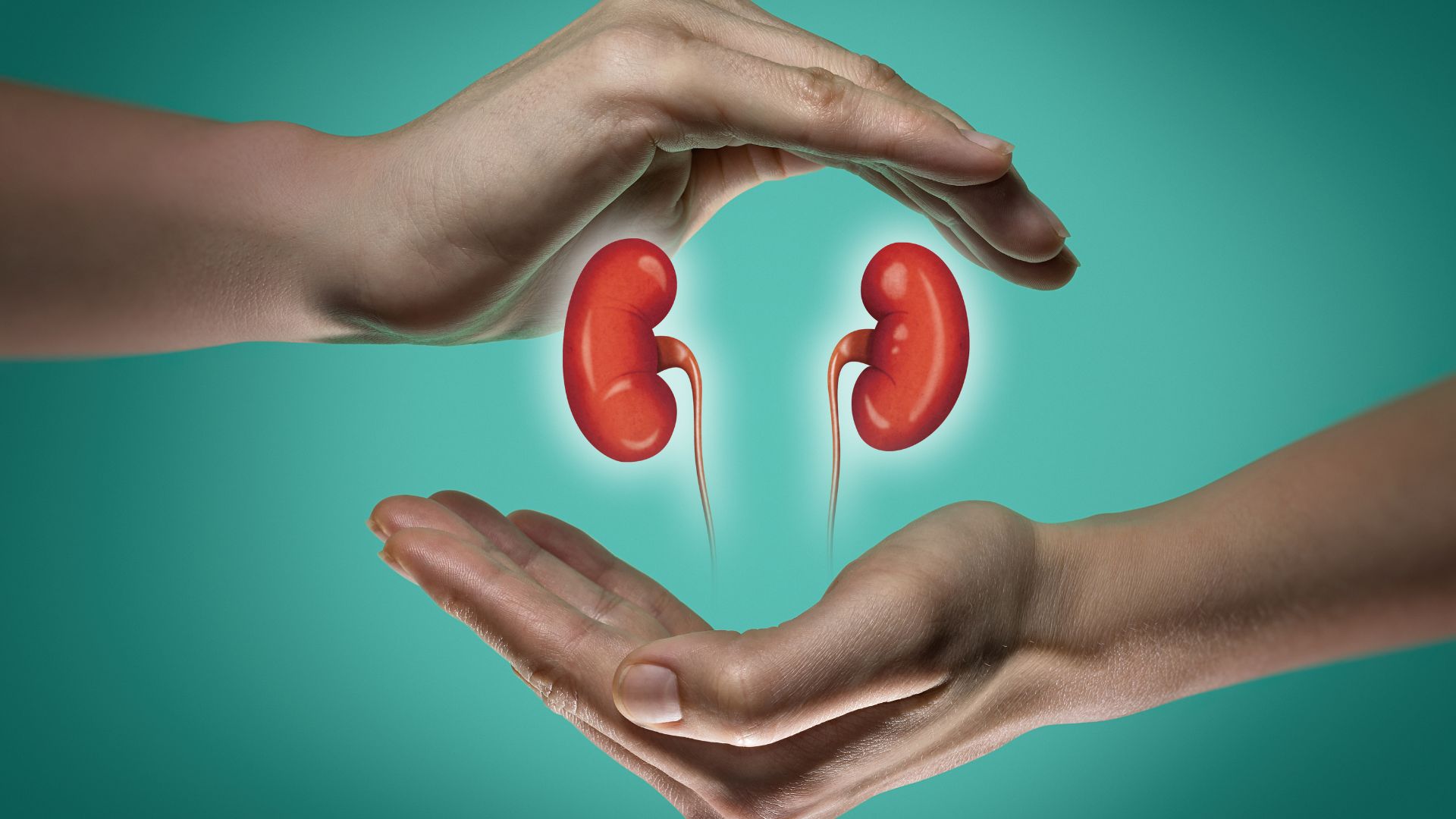 Xét nghiệm HLA trong ghép thận: Vai trò và ý nghĩa chuyên sâu 4