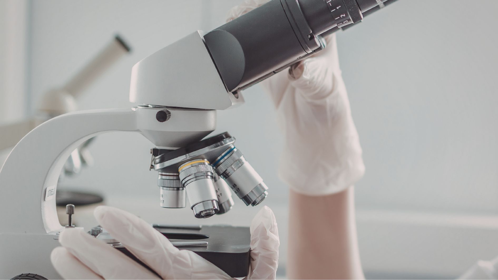 Xét nghiệm nhiễm sắc thể giá bao nhiêu? Chi phí dựa trên loại xét nghiệm và cơ sở xét nghiệm