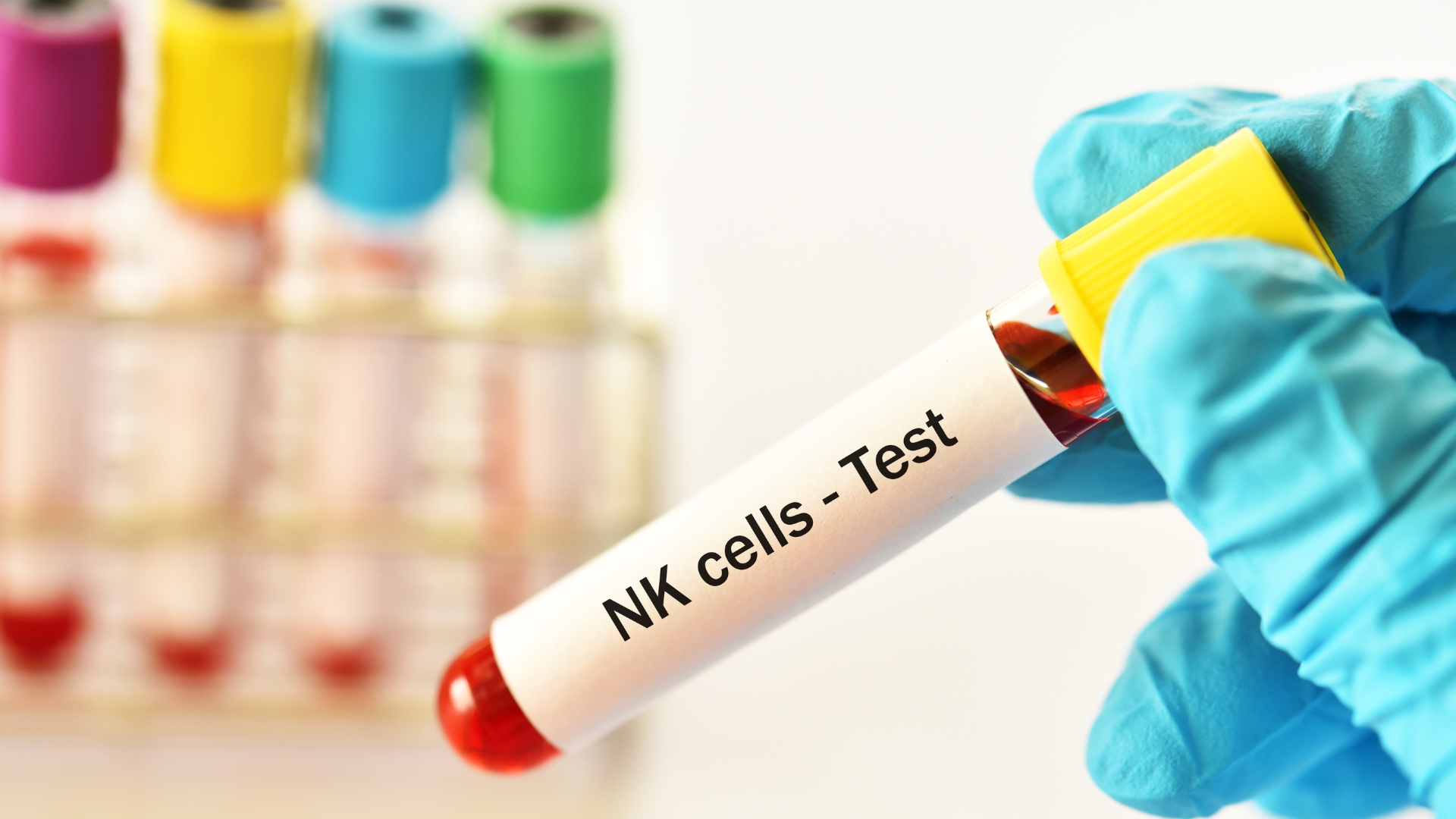 Tế bào NK góp vai trò trong điều hòa trao đổi chất giữa phôi và nội mạc, hỗ trợ quá trình tưới máu trong giai đoạn đầu thai kỳ