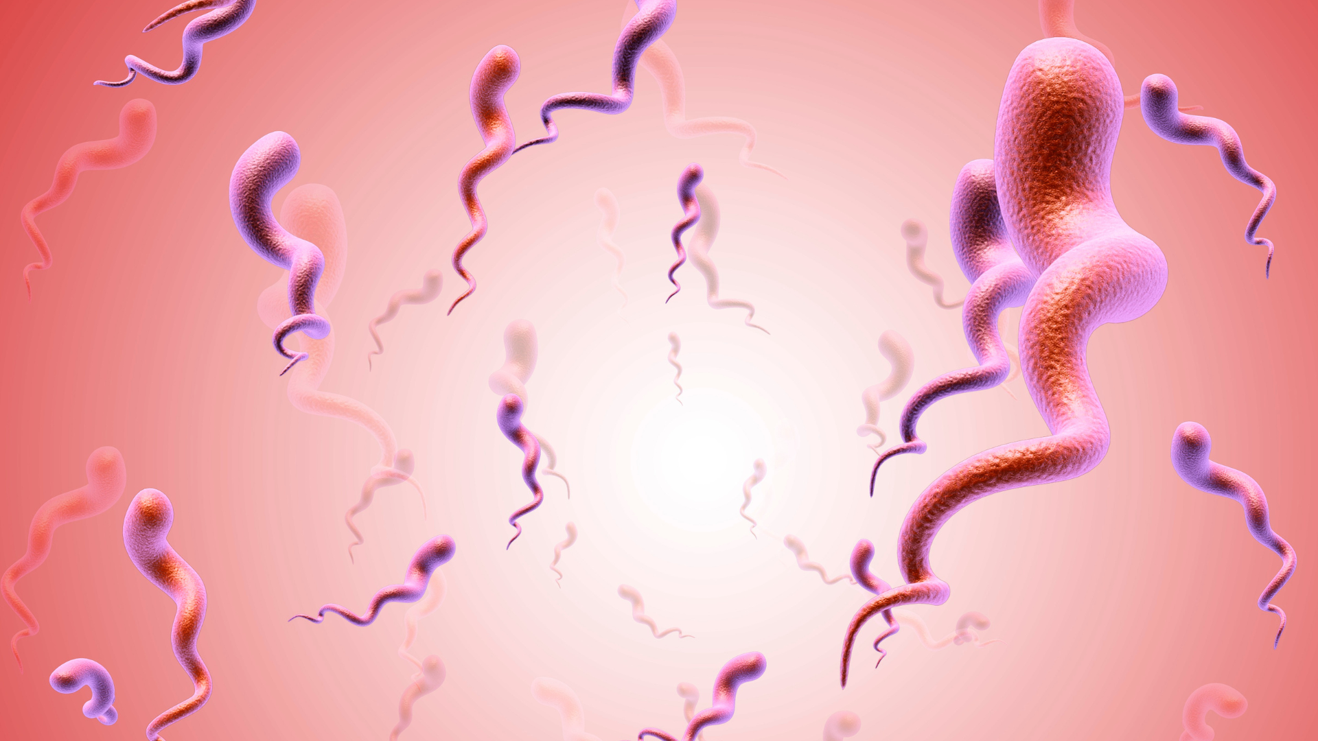 Xét nghiệm RPR giang mai là gì? Đây là phương pháp đơn giản sàng lọc bệnh giang mai