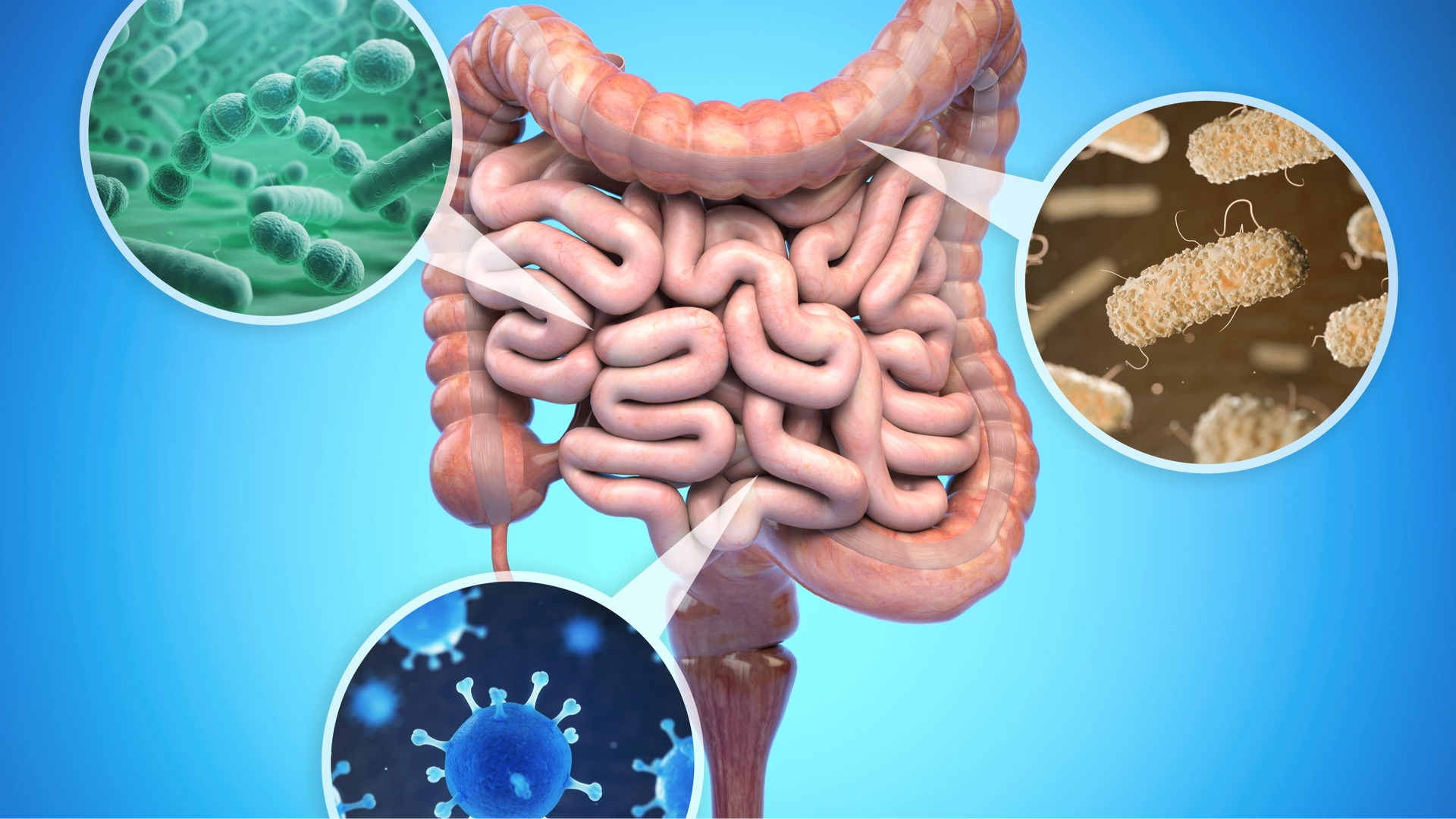 Soi phân giúp phát hiện ký sinh trùng, đánh giá tình trạng sức khỏe và hiệu quả điều trị kịp thời