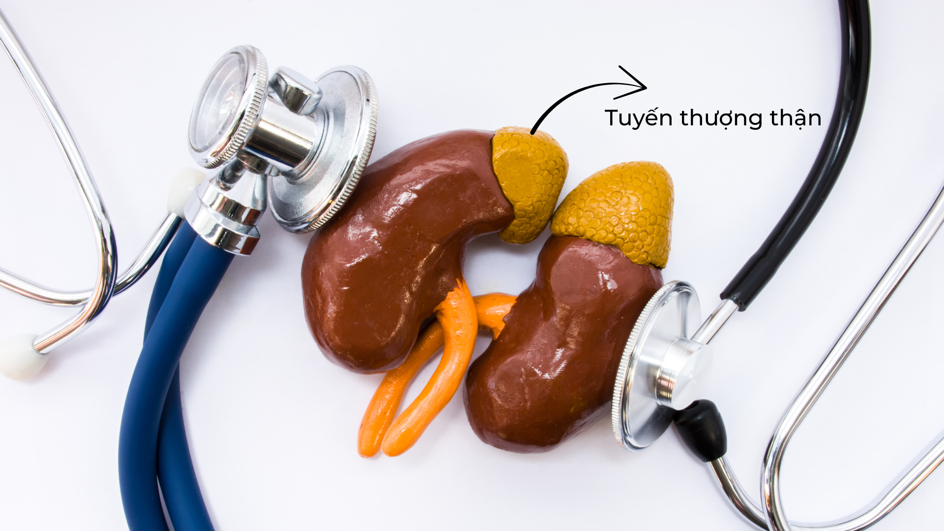 Xét nghiệm suy tuyến thượng thận: Quy trình, ý nghĩa và những lưu ý quan trọn 1