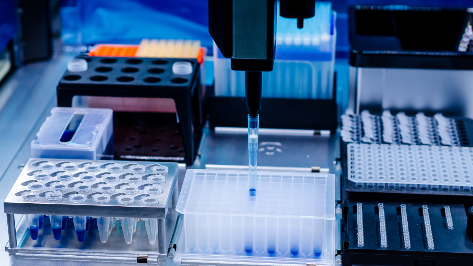 Xét nghiệm sinh học phân tử cho độ chính xác cao, thời gian trả kết quả nhanh