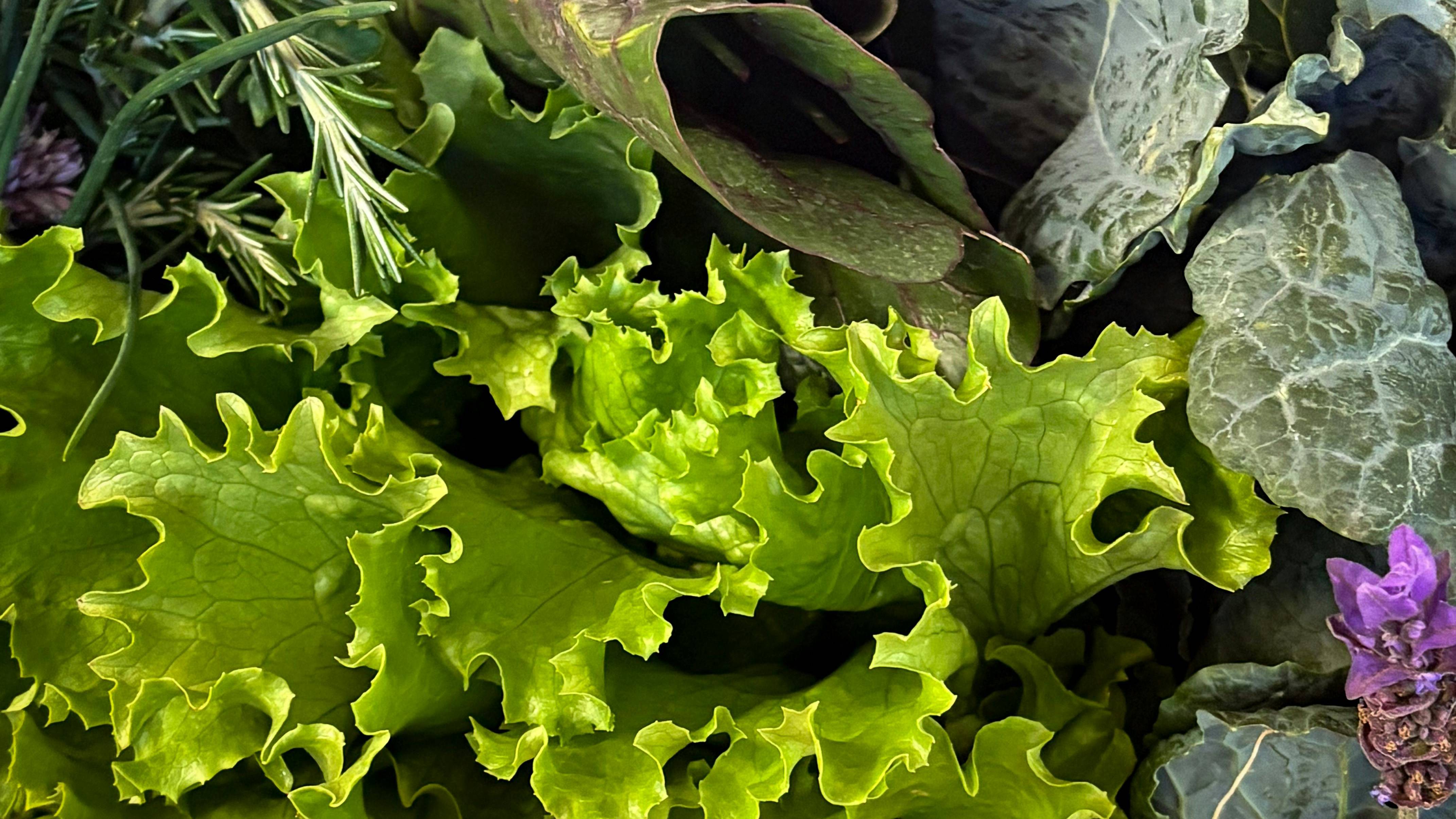 Chế độ ăn nên ưu tiên rau xanh, trái cây tươi