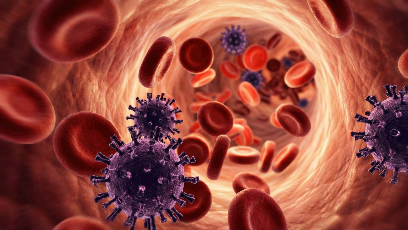 Tế bào Kupffer trong xoang gan tham gia bảo vệ gan khỏi tác nhân gây hại