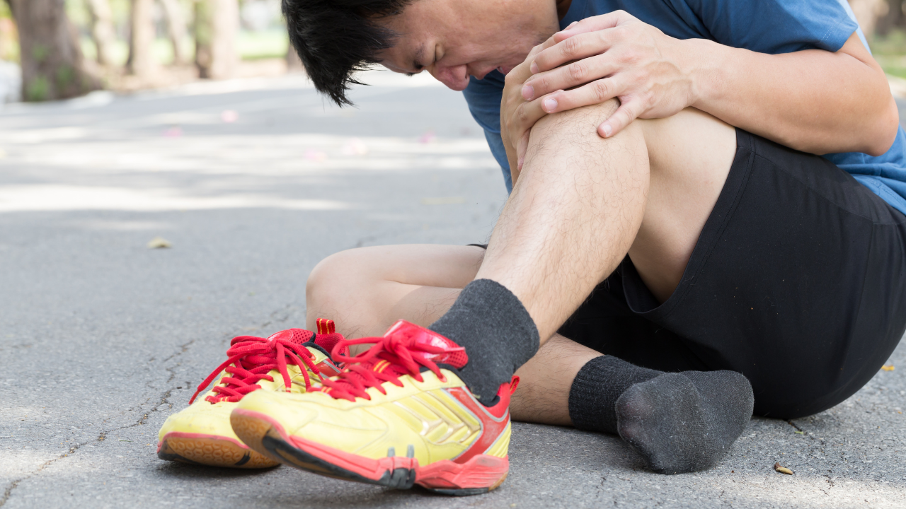 xuong-banh-che-la-gi-vi-tri-cau-tao-va-chuc-nang (2).png