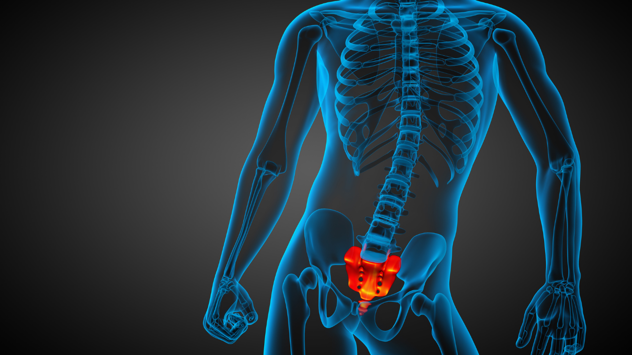 Xương cụt là phần xương nằm ở vị trí cuối cùng của cột sống