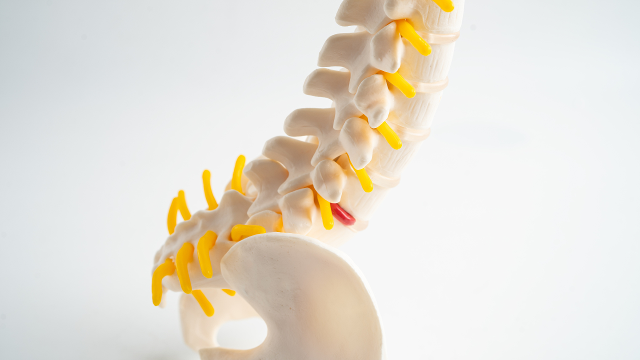 Đau xương cụt thường biểu hiện qua các triệu chứng như cảm giác đau âm ỉ hoặc nhói khi ngồi lâu