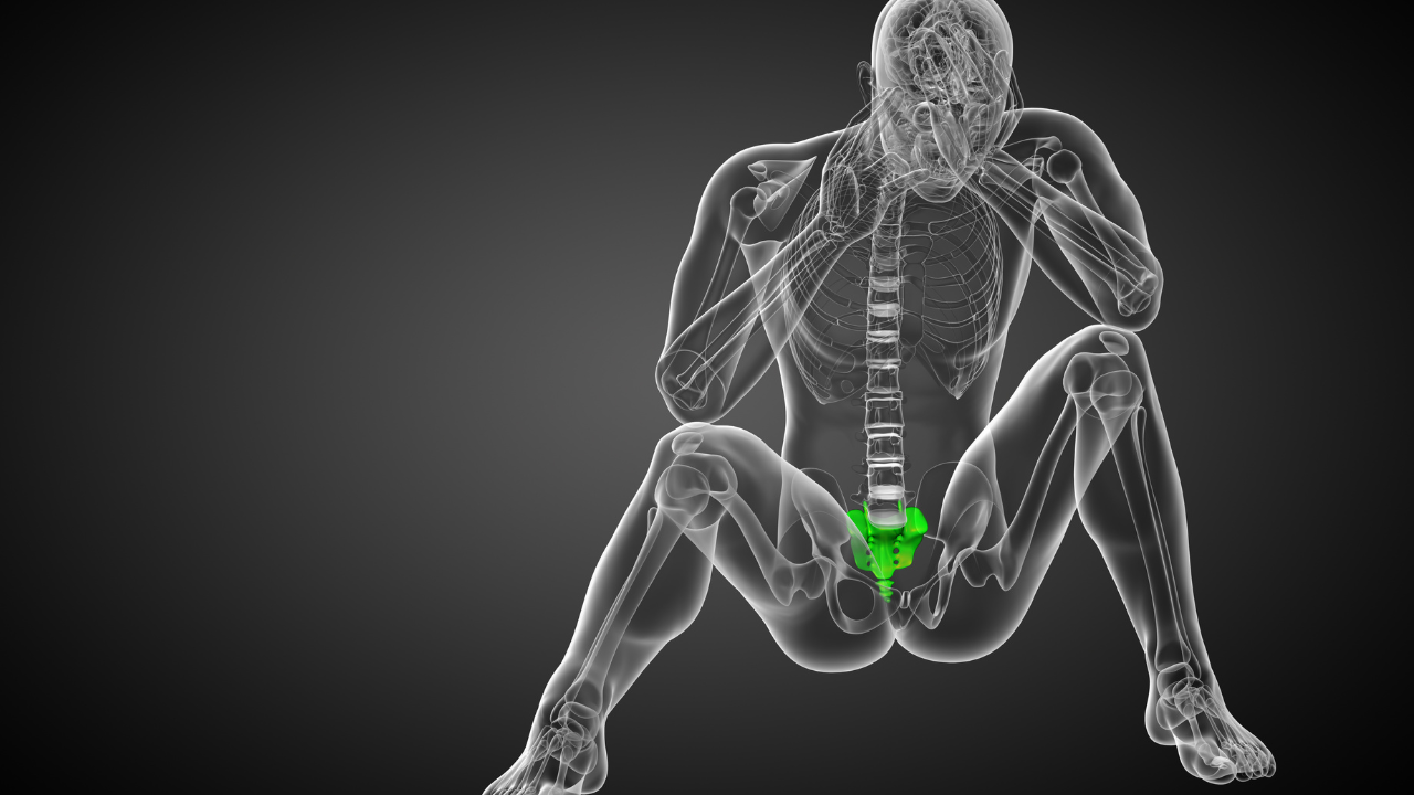 Xương cụt góp phần duy trì sự cân bằng và ổn định cho cơ thể